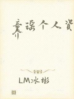 童瑶个人资料简介