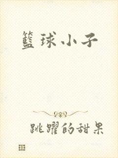 篮球小子
