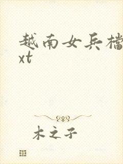 越南女兵档案txt