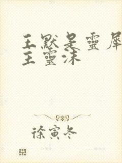 王默是灵犀阁公主灵沫