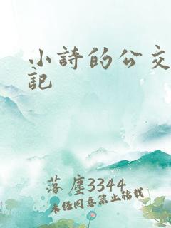 小诗的公交车日记