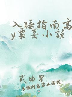 入睡指南高干by粟熹小说