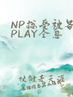 NP总受被各种PLAY全息