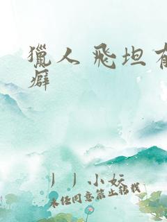 猎人 飞坦有洁癖