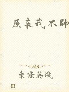 原来我不帅小说