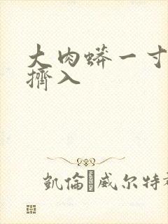 大肉蟒一寸一寸挤入