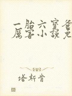 一胎六宝爸比好厉害小说免费阅读