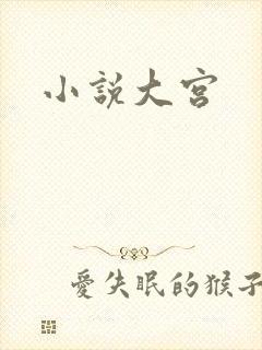 小说大宫