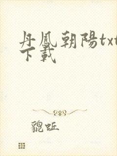丹凤朝阳txt下载