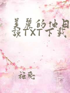 美丽的他日剧小说TXT下载