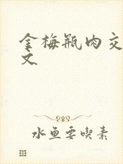 金梅瓶肉交白话文