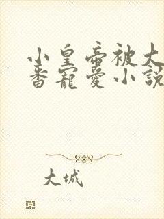 小皇帝被大臣轮番宠爱小说