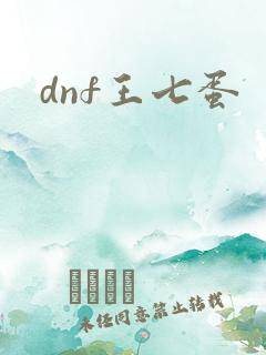dnf王七蛋