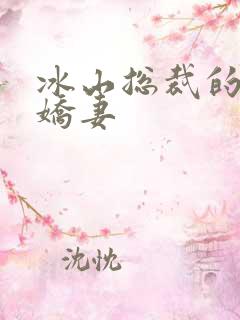 冰山总裁的掠爱娇妻