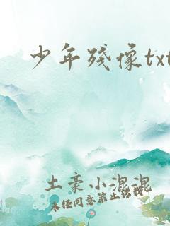 少年残像txt