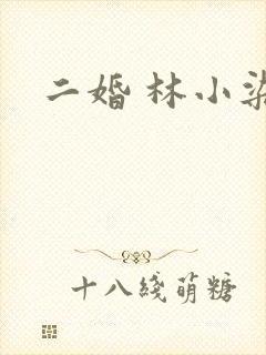 二婚 林小染