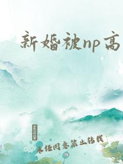新婚被np高h
