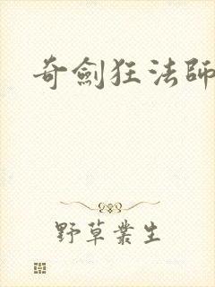 奇剑狂法师下载