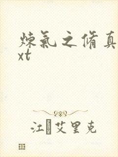 炼气之修真者txt