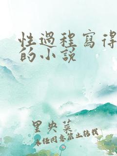 性过程写得详细的小说