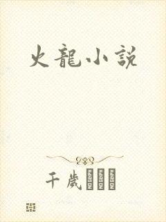 火龙小说