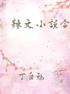 辣文小说合集