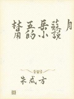林五岳苏月灵主角的小说