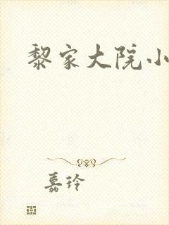 黎家大院小说