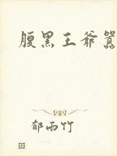 腹黑王爷嚣张妻