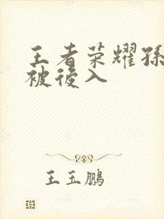 王者荣耀孙尚香被后入