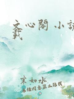 文心阁 小说连载