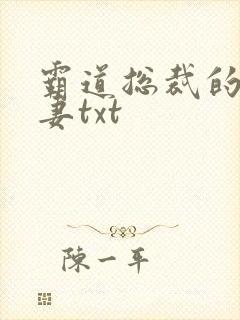 霸道总裁的挂名妻txt