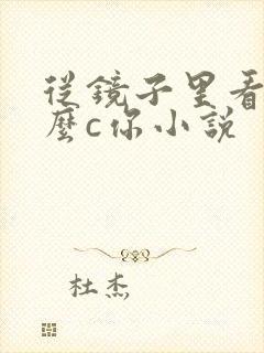 从镜子里看我怎么c你小说