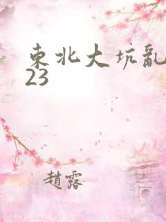 东北大坑乱1—23