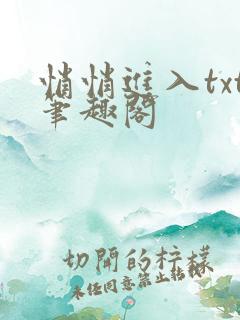 悄悄进入txt笔趣阁