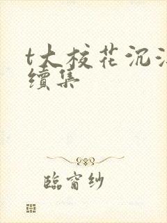 t大校花沉浮录续集