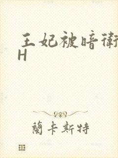 王妃被暗卫肉高H