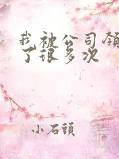 我被公司领导C了很多次