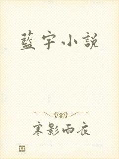 蓝宇小说