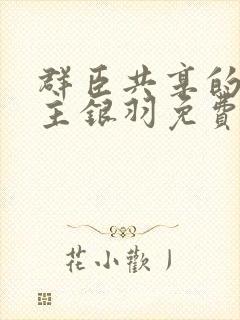 群臣共享的小公主银羽免费阅读