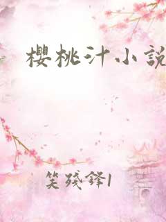 樱桃汁小说