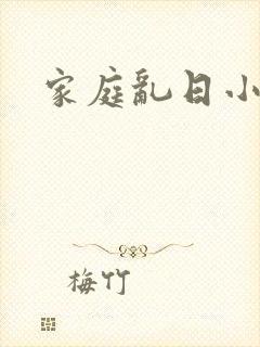 家庭乱日小说