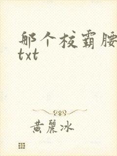 那个校霸腰好软txt