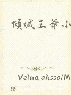 倾城王爷小小妃