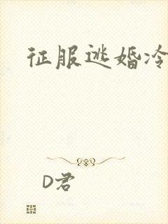 征服逃婚冷殿下