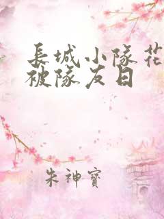 长城小队花木兰被队友日