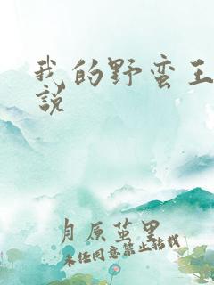 我的野蛮王妃小说