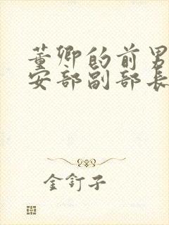 董卿的前男友公安部副部长