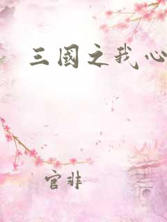 三国之我心狂想