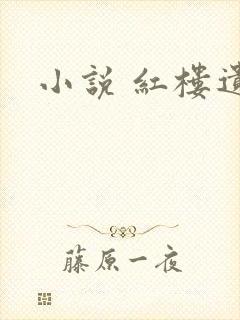小说 红楼遗秘